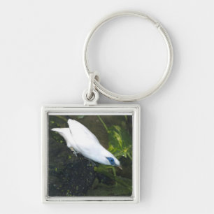 Bali Myna Sleutelhanger