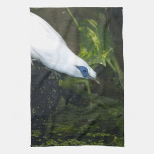 Bali Myna Theedoek