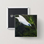 Bali Myna Vierkante Button 5,1 Cm (Voorkant /achterkant)