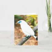 Bali Mynah Photo Folded Note Kaart (Voorkant)