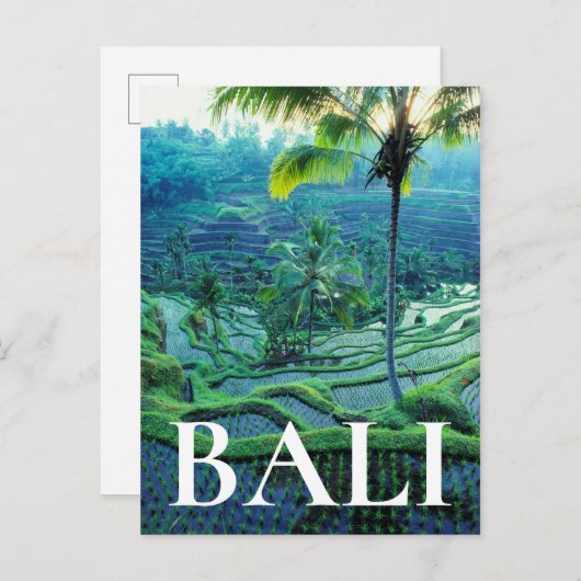 Bali | Overview of Rice Terraces Briefkaart (Voorkant / Achterkant)
