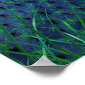 Bali | Overview Of Rice Terraces Poster (Hoek)