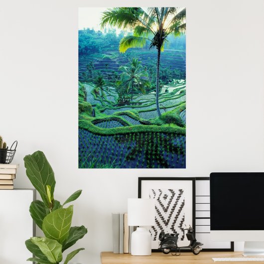 Bali | Overview Of Rice Terraces Poster (Thuiskantoor)