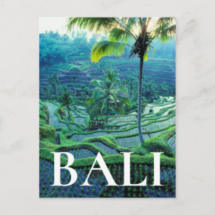 Bali   Overzicht van rijstterrassen Briefkaart