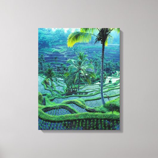 Bali | Overzicht van rijstterrassen Canvas Afdruk (Voorkant)