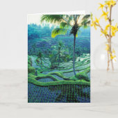 Bali| Overzicht van rijstterrassen Kaart (Gele Bloem)