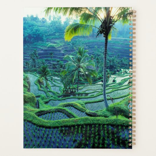 Bali | Overzicht van rijstterrassen Planner (Achterkant)