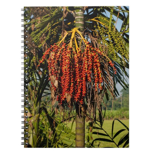 Bali Palm Fruit Rice Field Notebook Notitieboek (Voorkant)