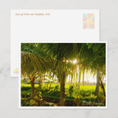 Bali Palm Trees & Ricefield Postcard Feestdagenkaart (Voorkant / Achterkant)