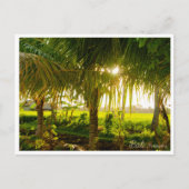 Bali Palm Trees & Ricefield Postcard Feestdagenkaart (Voorkant)