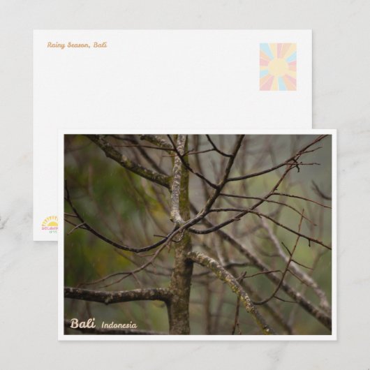 Bali Rainy Season Bare Tree Postcard Feestdagenkaart (Voorkant / Achterkant)