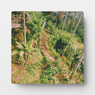 Bali regenwoud trap fotoplaat