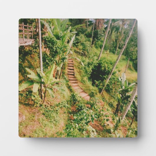 Bali regenwoud trap fotoplaat (Voorkant)