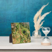 Bali regenwoud trap fotoplaat (Insitu)
