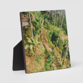 Bali regenwoud trap fotoplaat (Voorkant)