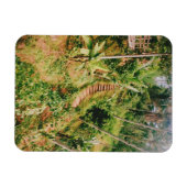 Bali regenwoud trap magneet (Horizontaal)