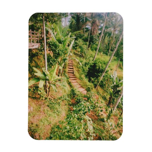Bali regenwoud trap magneet (Verticaal)