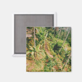 Bali regenwoud trap magneet (Voorkant / Achterkant)