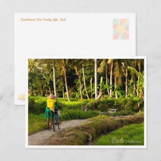 Bali Rice Field Sunset Postcard Feestdagenkaart (Voorkant / Achterkant)
