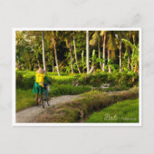 Bali Rice Field Sunset Postcard Feestdagenkaart (Voorkant)