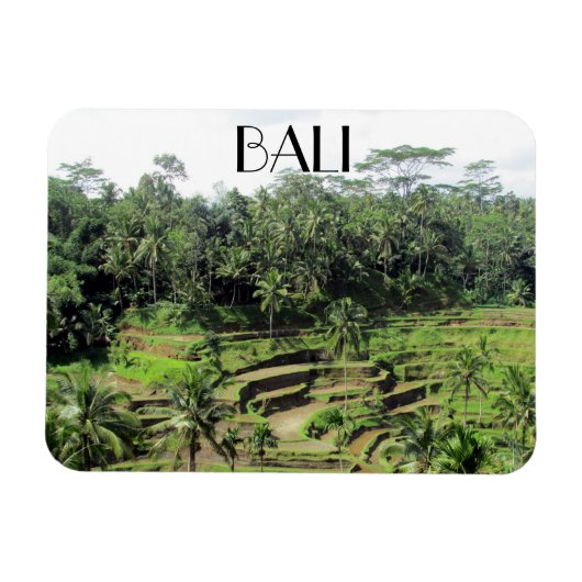 bali rice paddies magneet (Horizontaal)