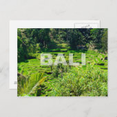 Bali Rice Terraces Briefkaart (Voorkant / Achterkant)