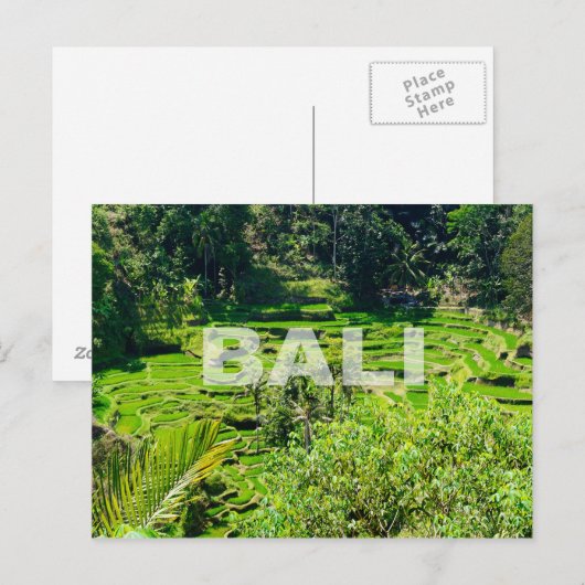 Bali Rice Terraces Briefkaart (Voorkant / Achterkant)
