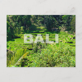 Bali Rice Terraces Briefkaart