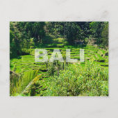 Bali Rice Terraces Briefkaart (Voorkant)
