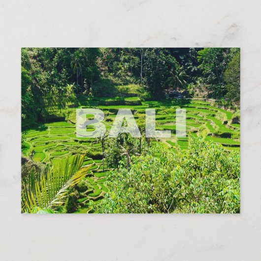 Bali Rice Terraces Briefkaart (Voorkant)