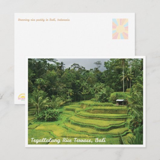 Bali Rice Terraces Scenic Travel Postcard Briefkaart (Voorkant / Achterkant)