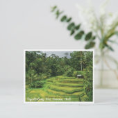 Bali Rice Terraces Scenic Travel Postcard Briefkaart (Staand voorkant)