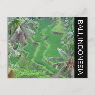 bali-rijstterrassen briefkaart