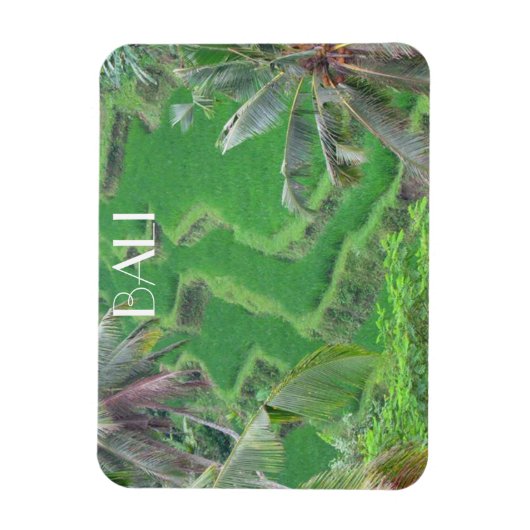 bali-rijstterrassen magneet (Verticaal)