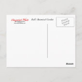 Bali Statue Briefkaart (Achterkant)