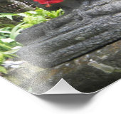 Bali Statue Foto afdrukken (Hoek)