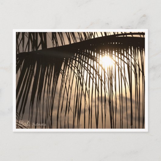 Bali Sunset Palm Leaf – Travel Postcard Briefkaart (Voorkant)