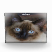 Balinese Cat Fotoblokken (Voorkant)