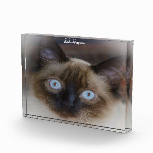 Balinese Cat Fotoblokken (Rechts)