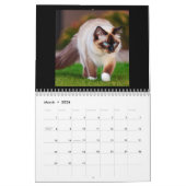 Balinese Cat Kalender (Mar 2026)