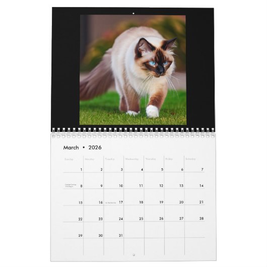 Balinese Cat Kalender (Mar 2026)
