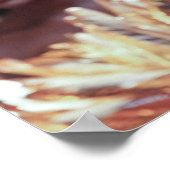 Balinese Dancers Poster (Hoek)