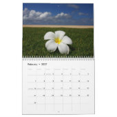 Balinese Dreams Kalender (Feb 2027)