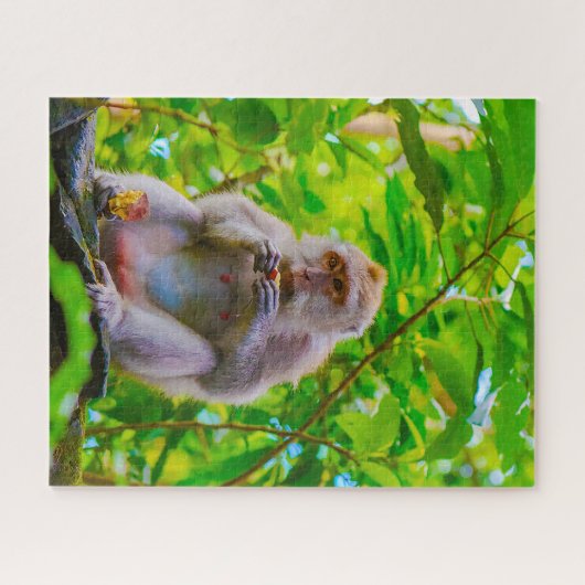 Balinese langstaartmakaken. legpuzzel (Horizontaal)