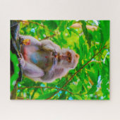 Balinese langstststaartmakaken. legpuzzel (Horizontaal)