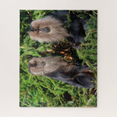 Balinese langstststaartmakaken. legpuzzel (Verticaal)