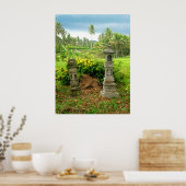 Balinese rijstvelden poster (Keuken)