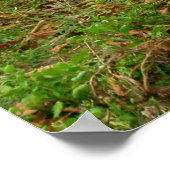 Balinese rijstvelden poster (Hoek)