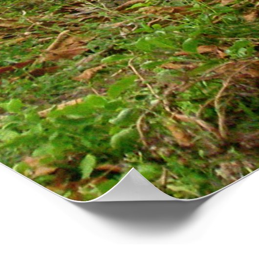 Balinese rijstvelden poster (Hoek)