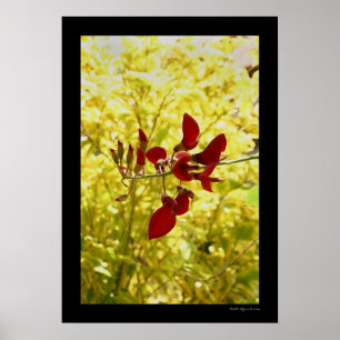 Balinese rode ventilator poster
